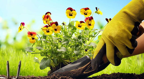 Do czego służą rękawice robocze?